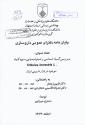 پایان نامه فارسی
